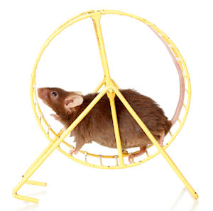 Trapped in the Rat Race.